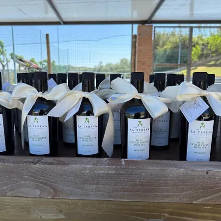 Za Teresa - Napoleonic Private & - Heated Pool On Request Holiday home